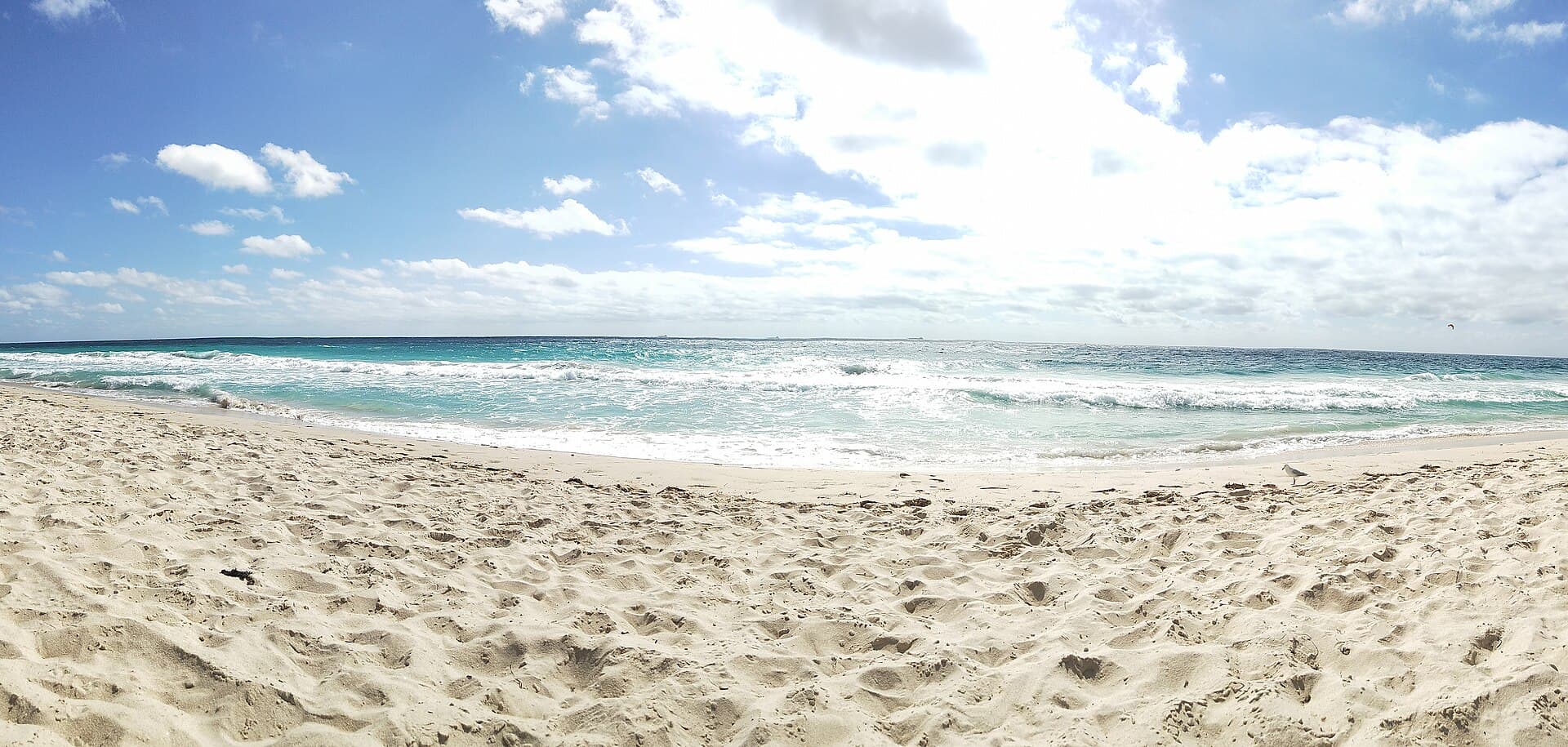 Things to Do in Scarborough, Perth: The Local Guide