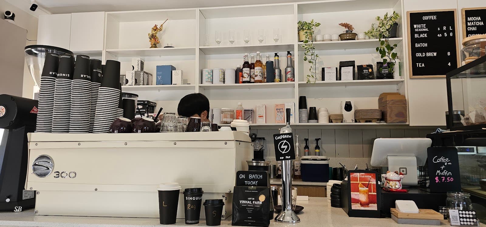 Singular Coffee Northbridge — Northbridge, Perth