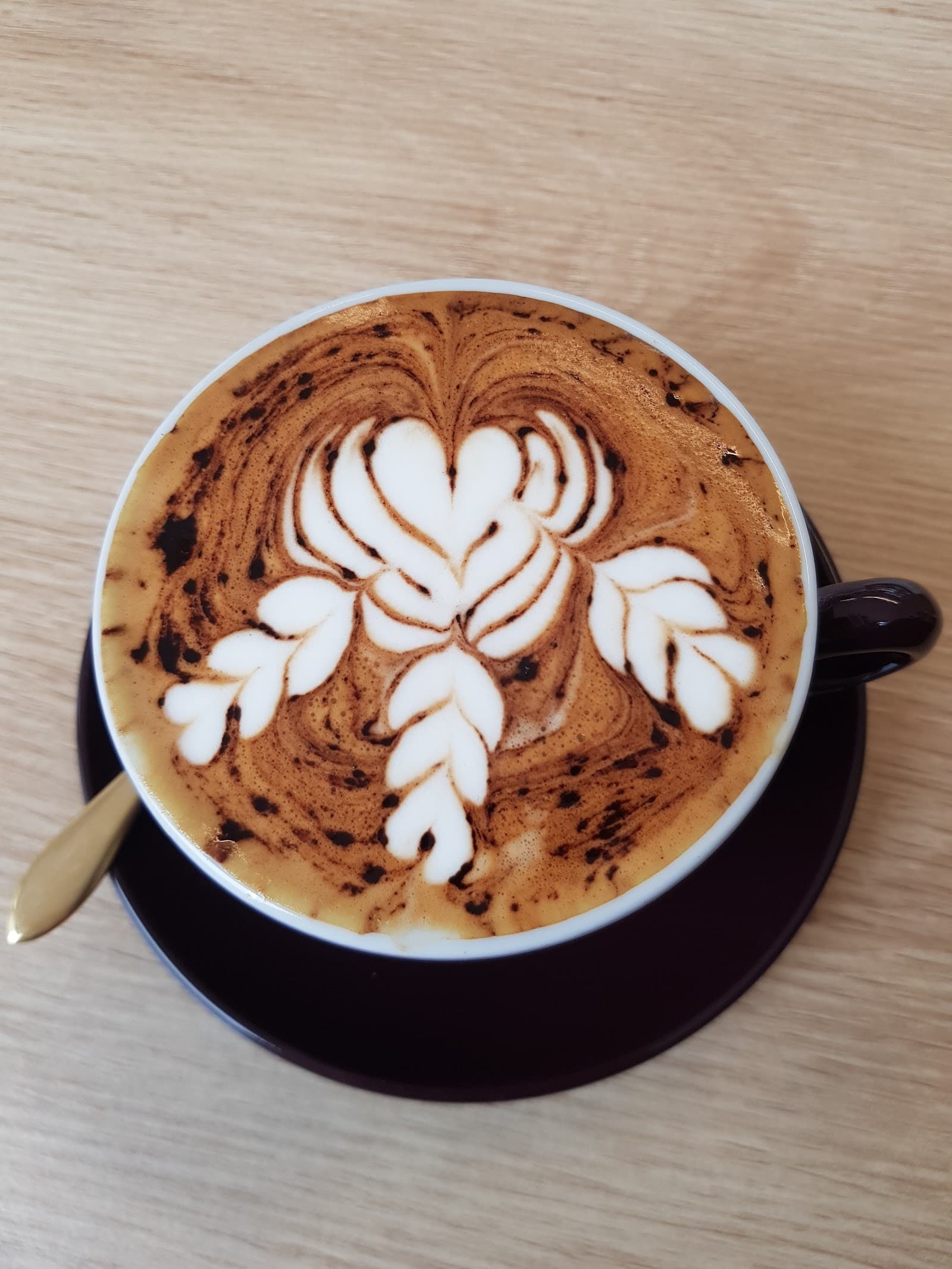 Singular Coffee Northbridge — Northbridge, Perth