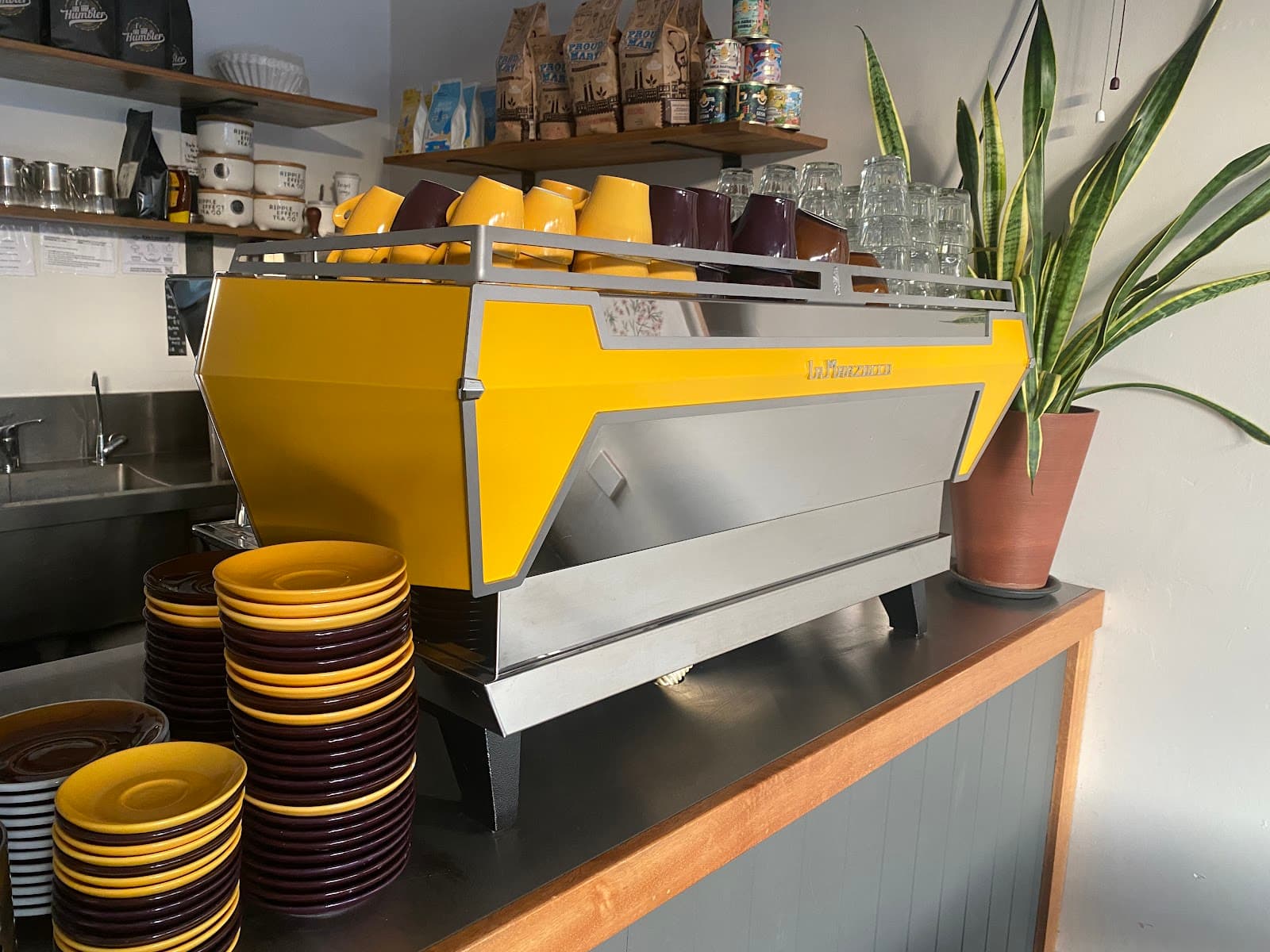 Queen of Leeds — Leederville, Perth