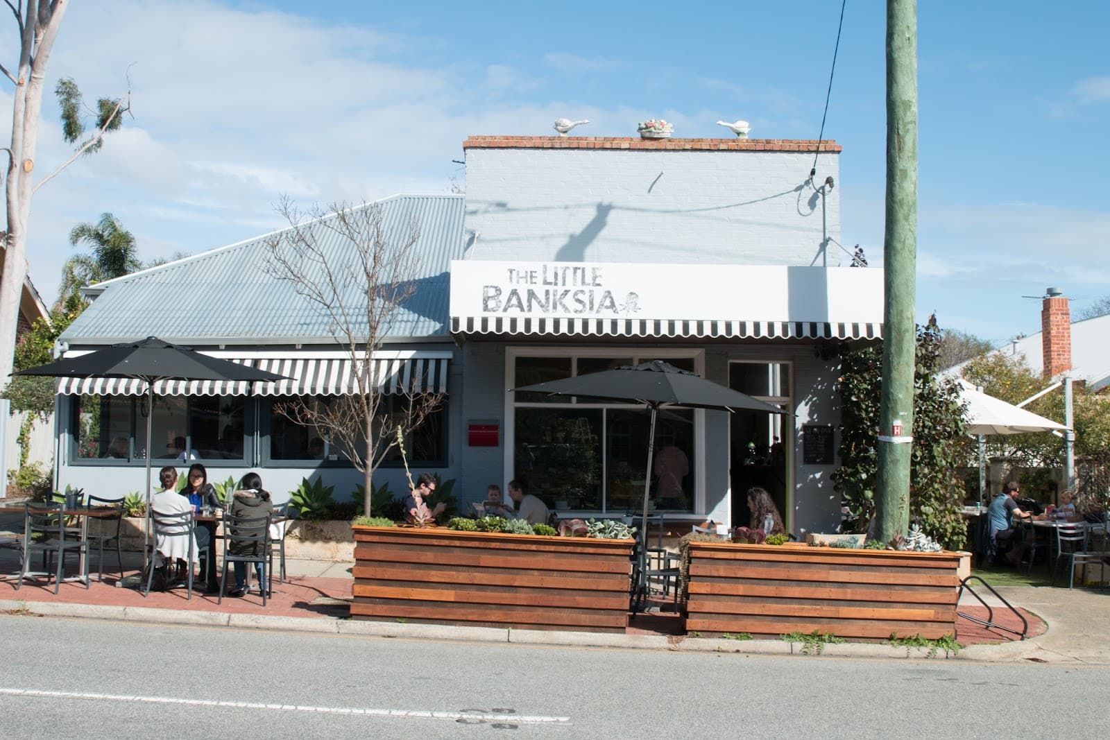The Little Banksia — South Perth, Perth