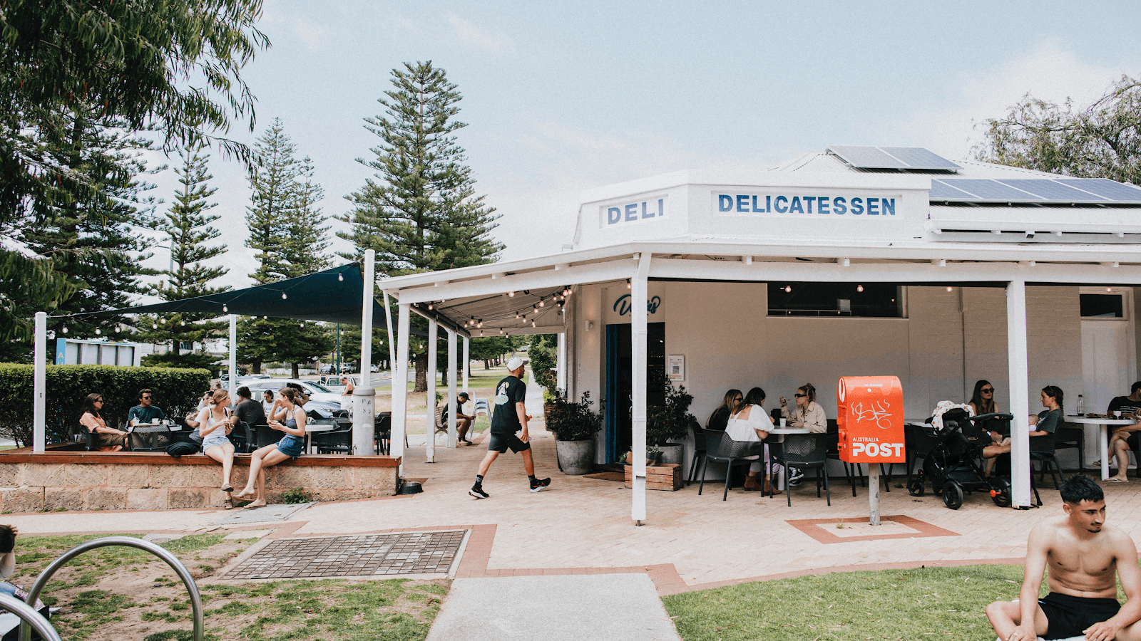 Daisies — Cottesloe, Perth