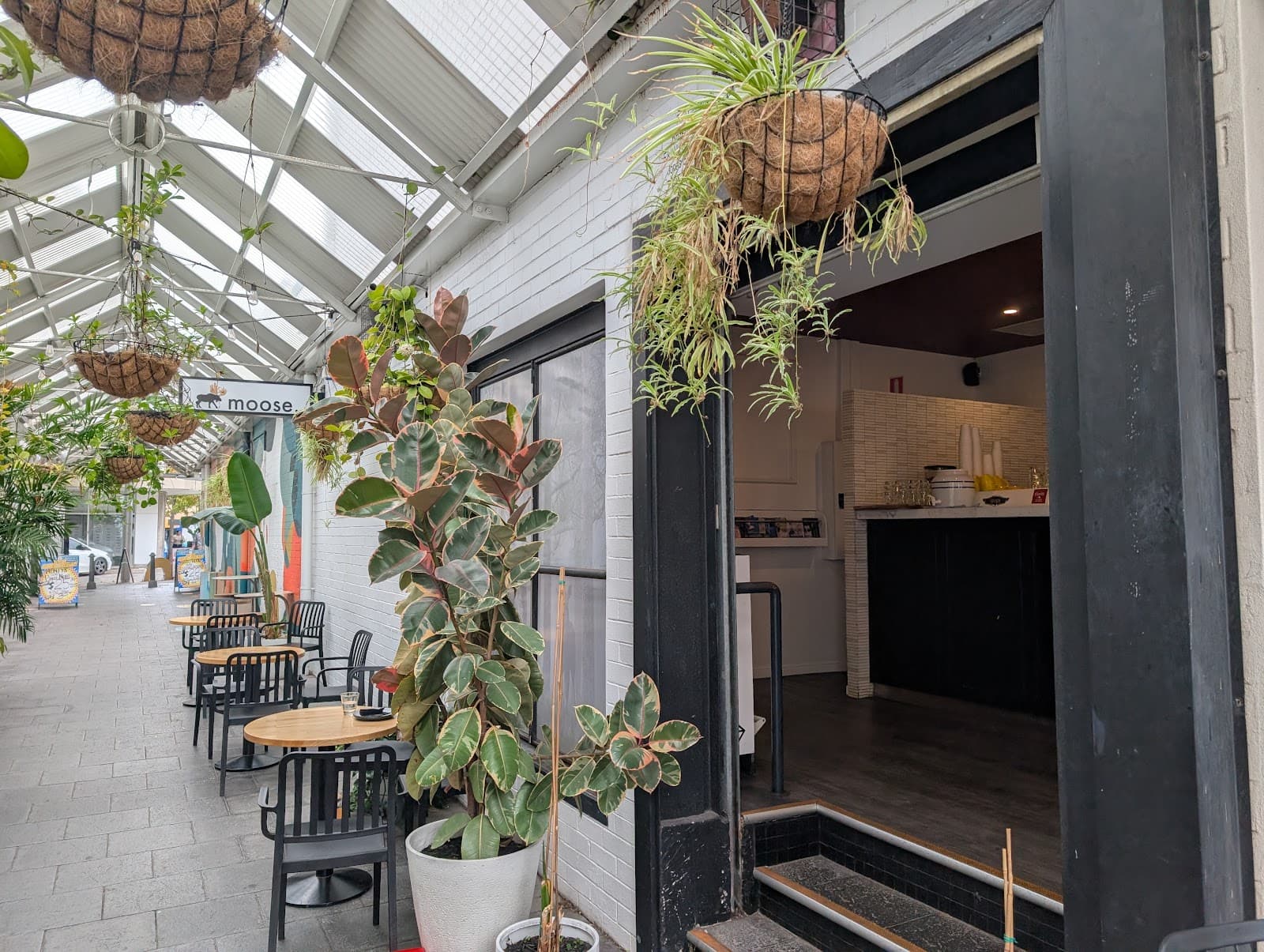 Moose Claremont — Claremont, Perth