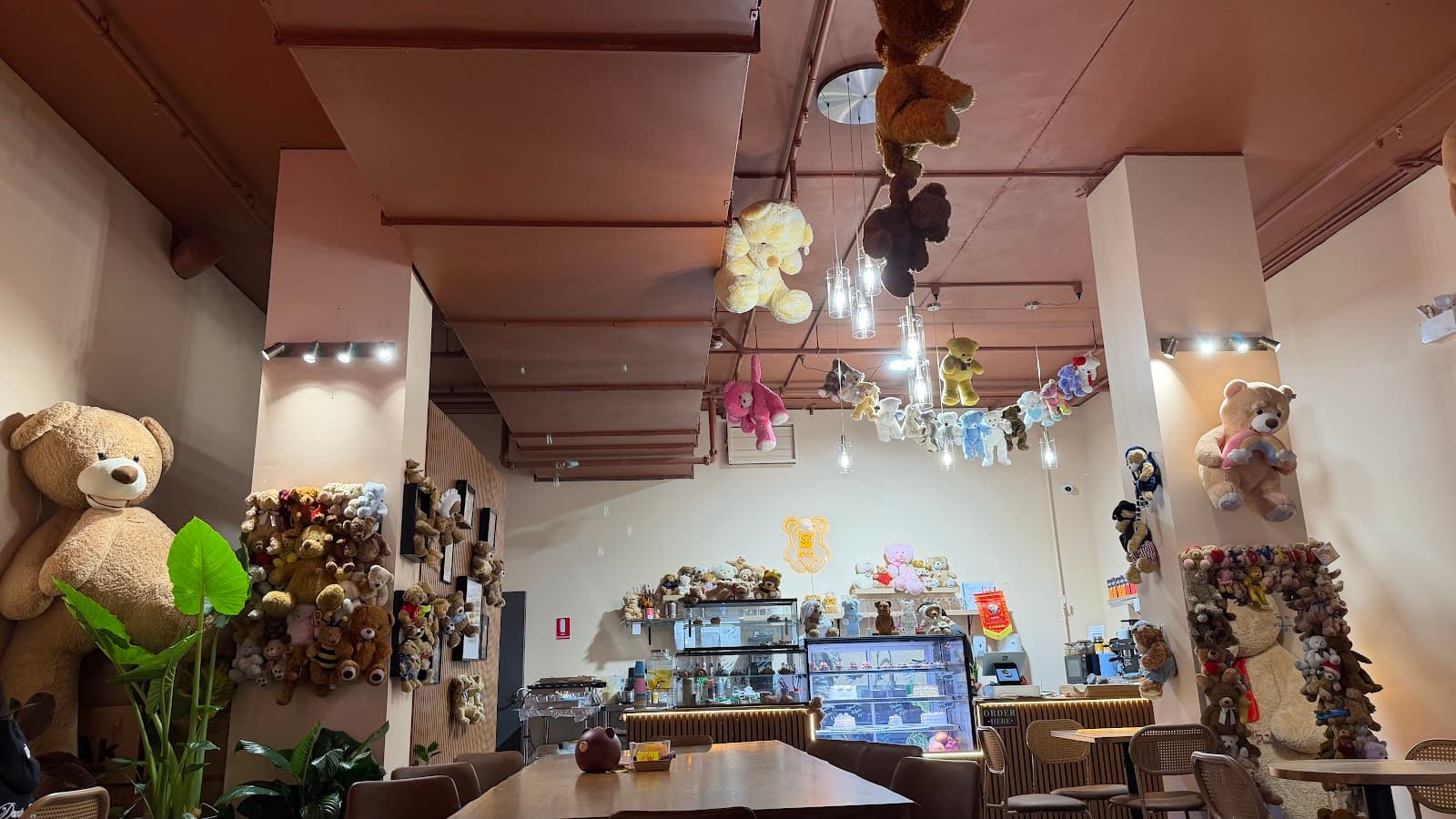 Teddy & Co — South Perth, Perth
