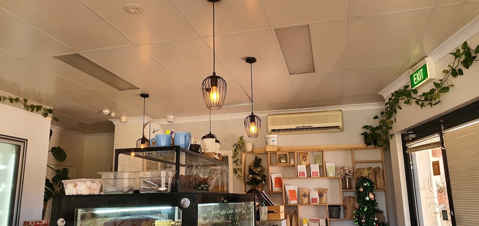 Little Jaspi — Joondalup, Perth