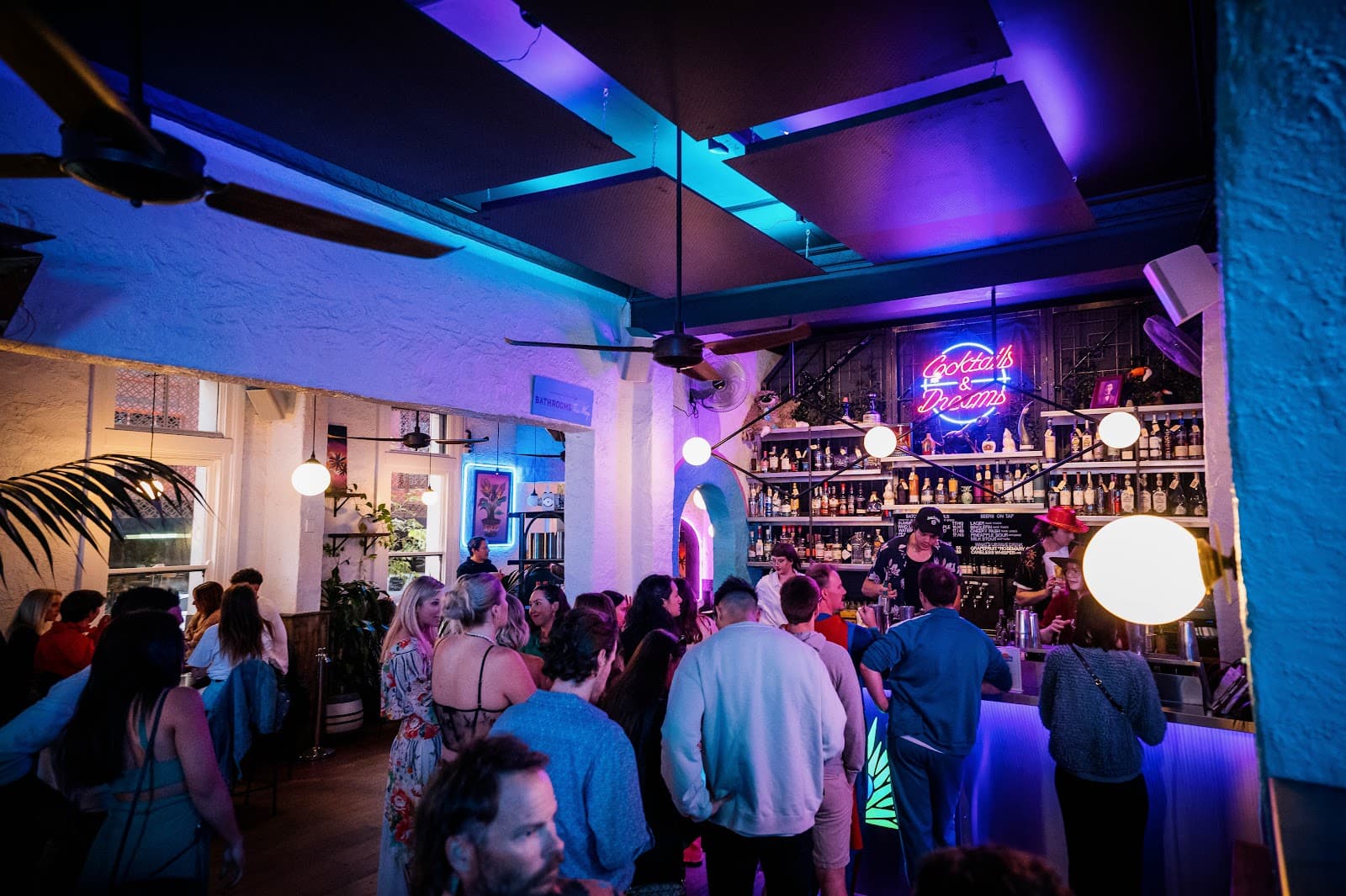 Neon Palms — Mount Lawley, Perth