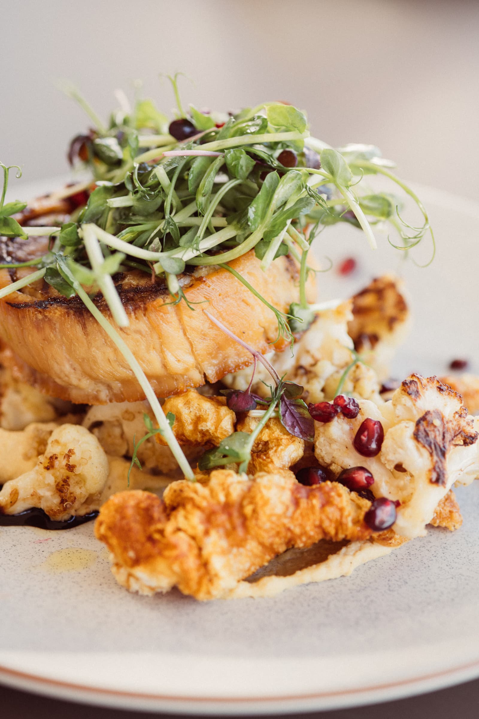The Camfield — Burswood, Perth