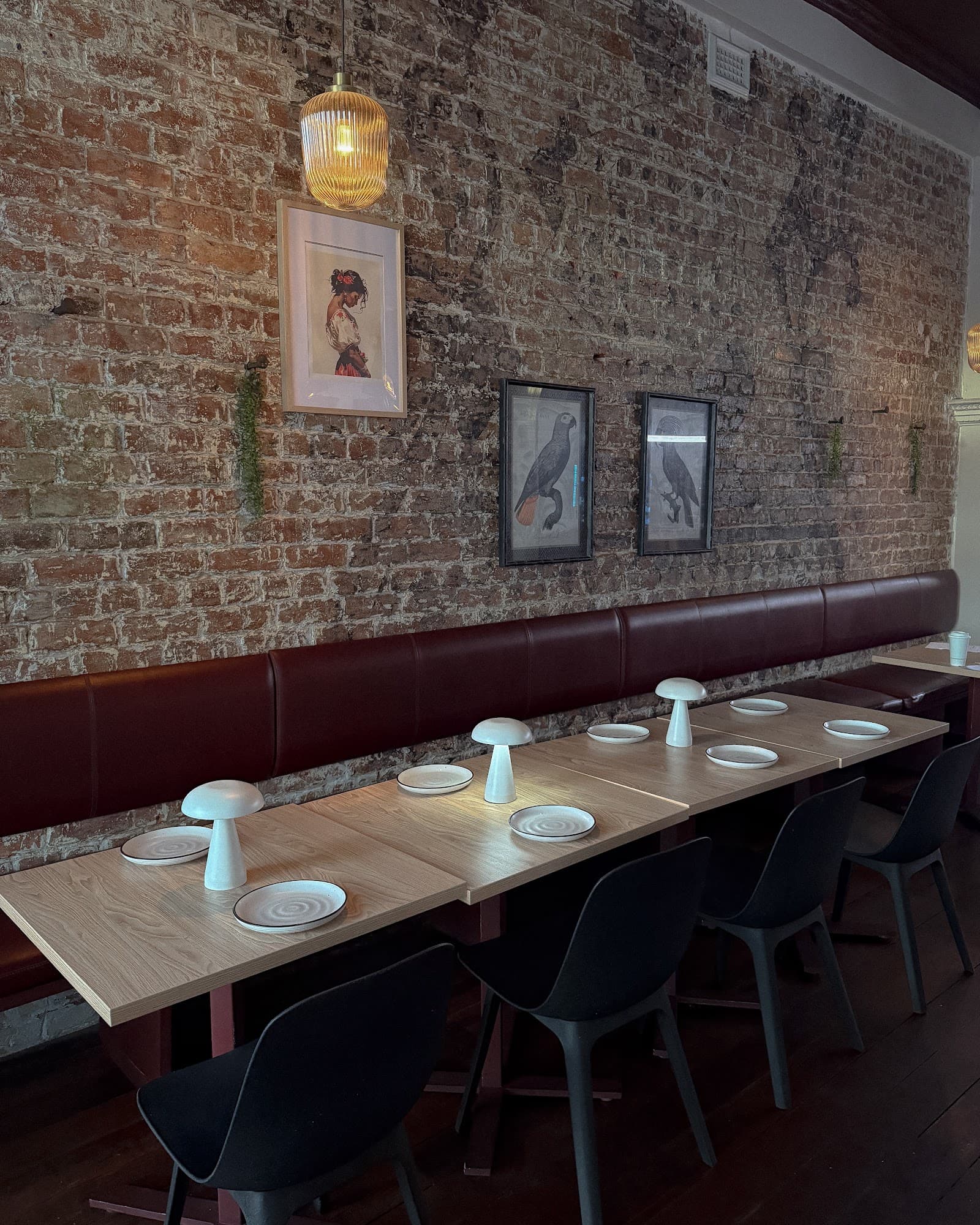 Tommy's Highgate — Mount Lawley, Perth