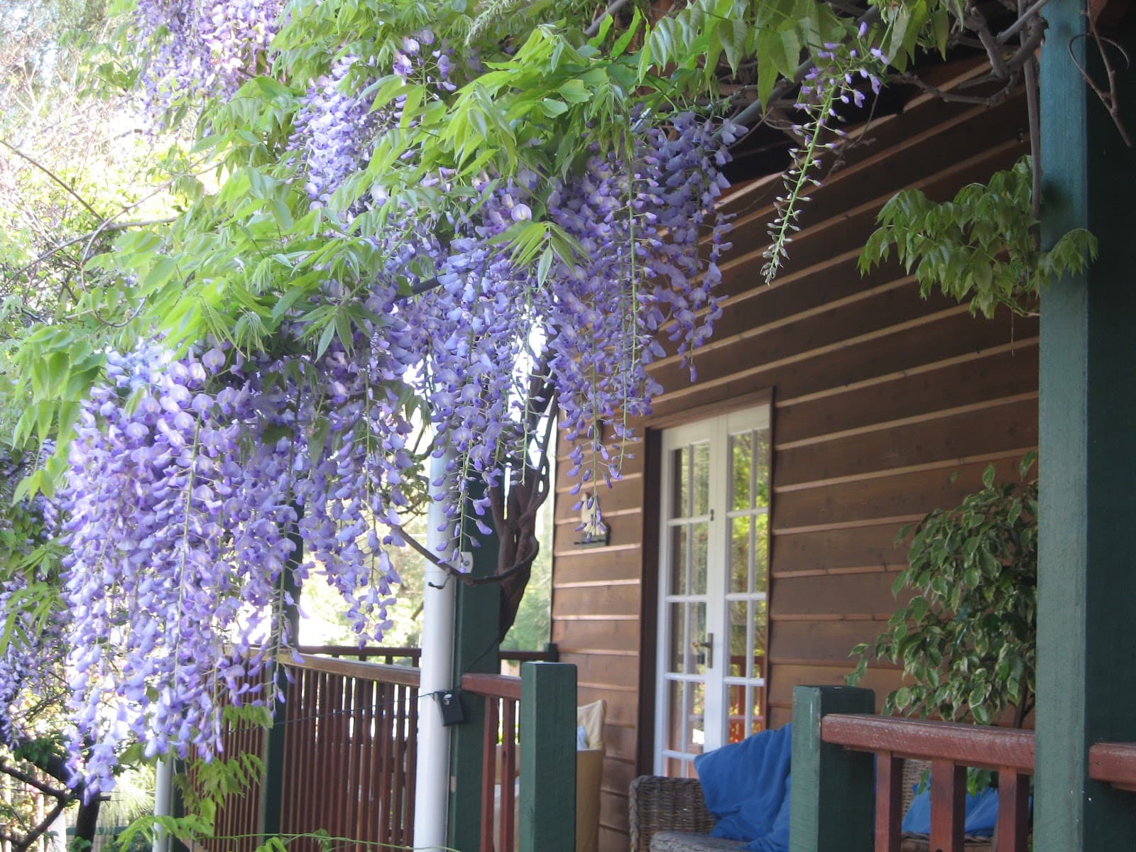 RoseMoore Bed & Breakfast — Claremont, Perth