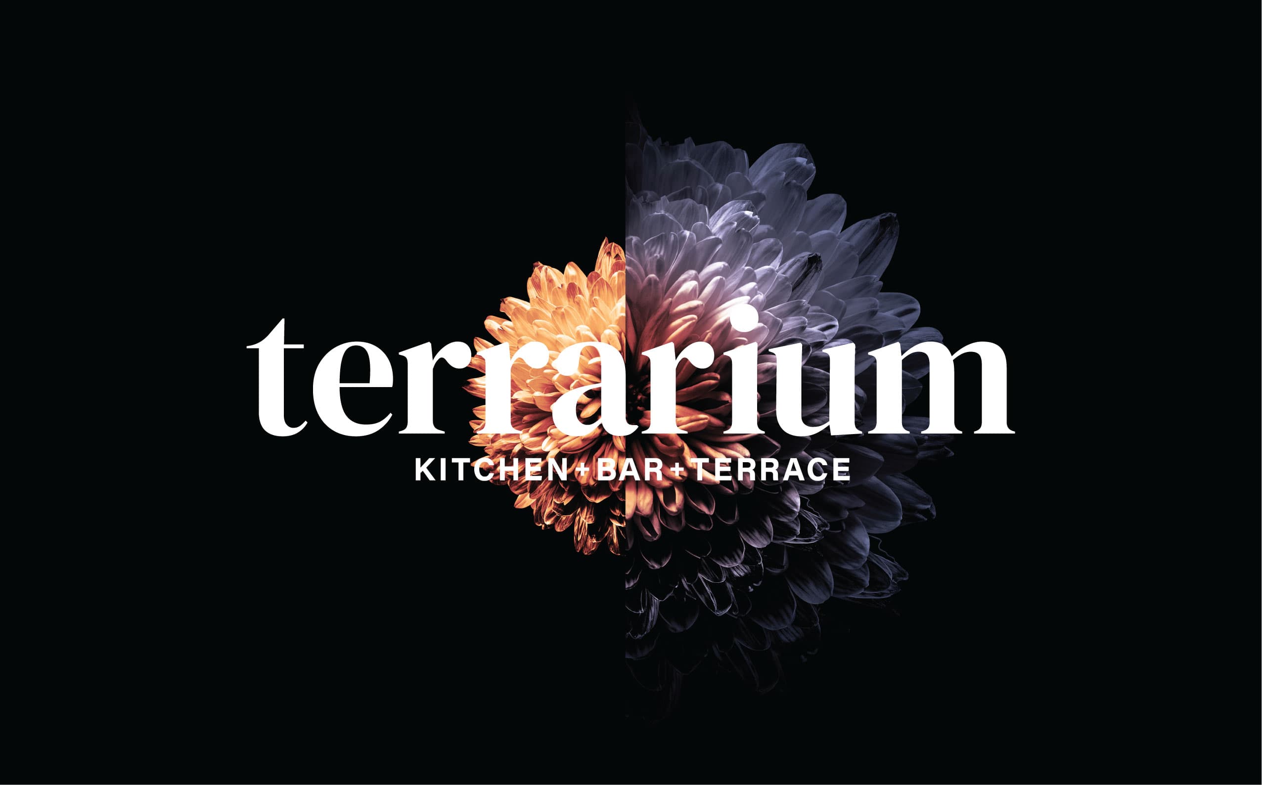 Terrarium Perth