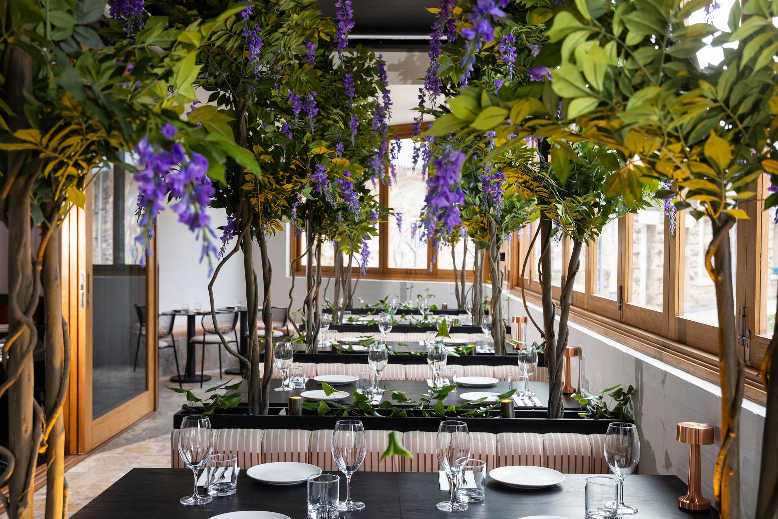Cassia Fremantle