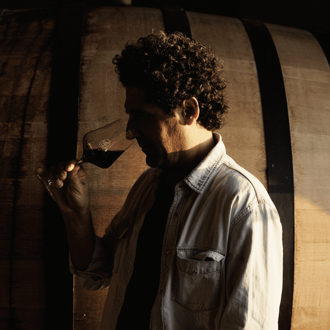 Cherubino City Cellar