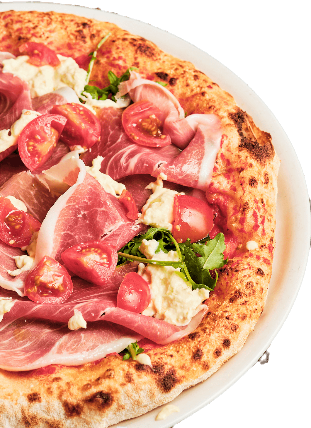 Pappagallo
