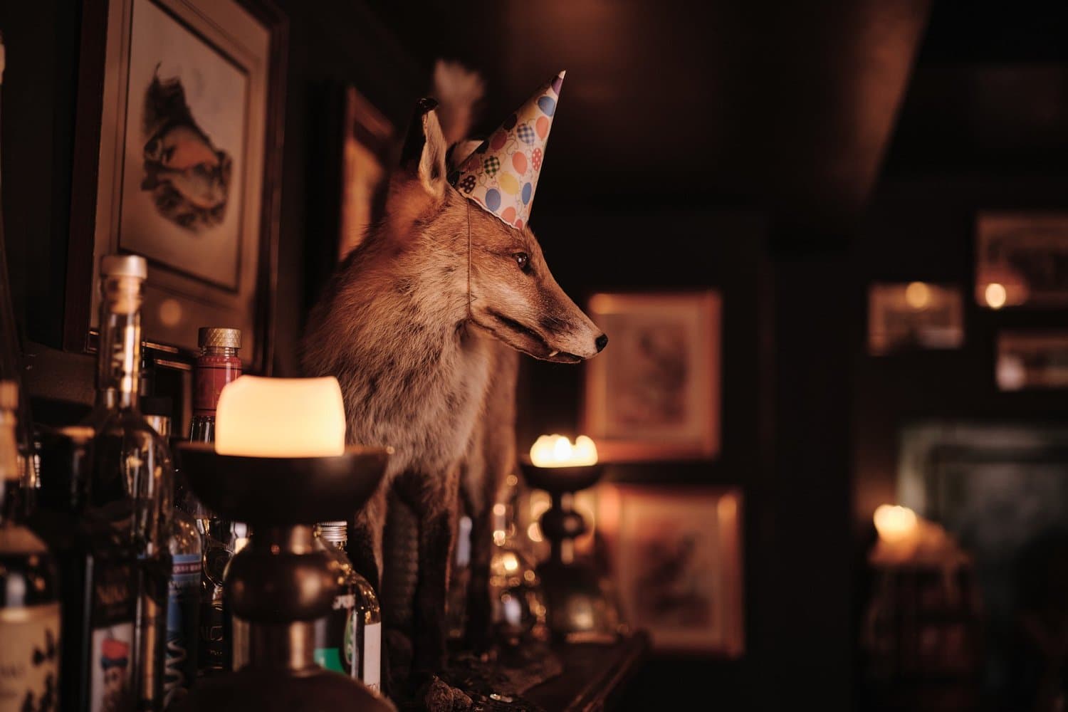 Foxtrot Unicorn
