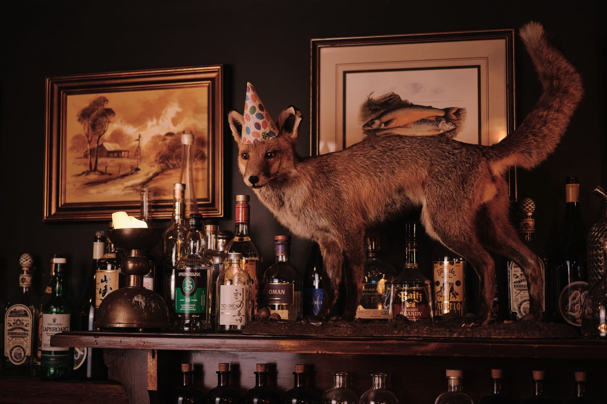 Foxtrot Unicorn